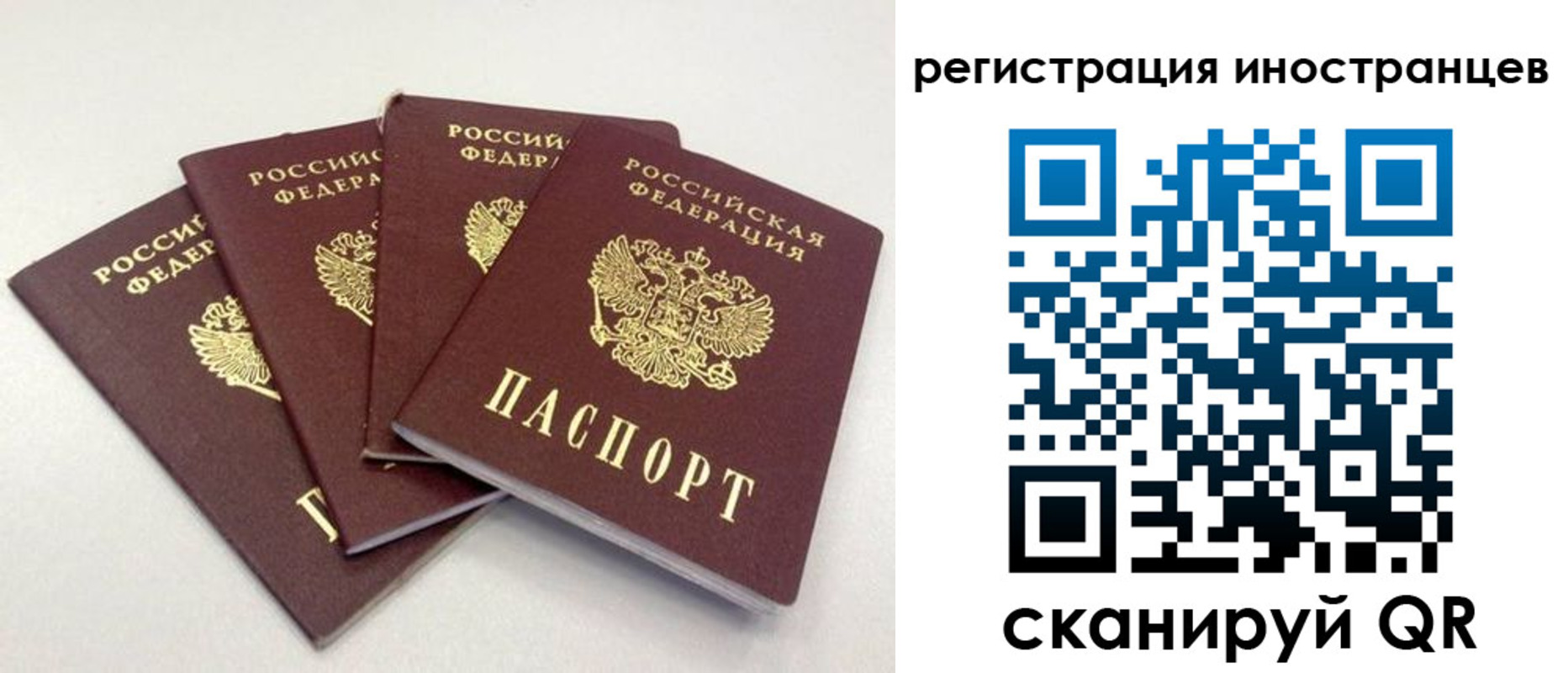 временная регистрация для школы в Белово